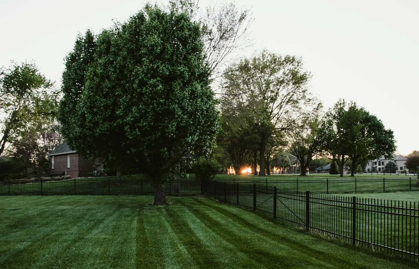 A neatly edged green lawn with a tidy garden border