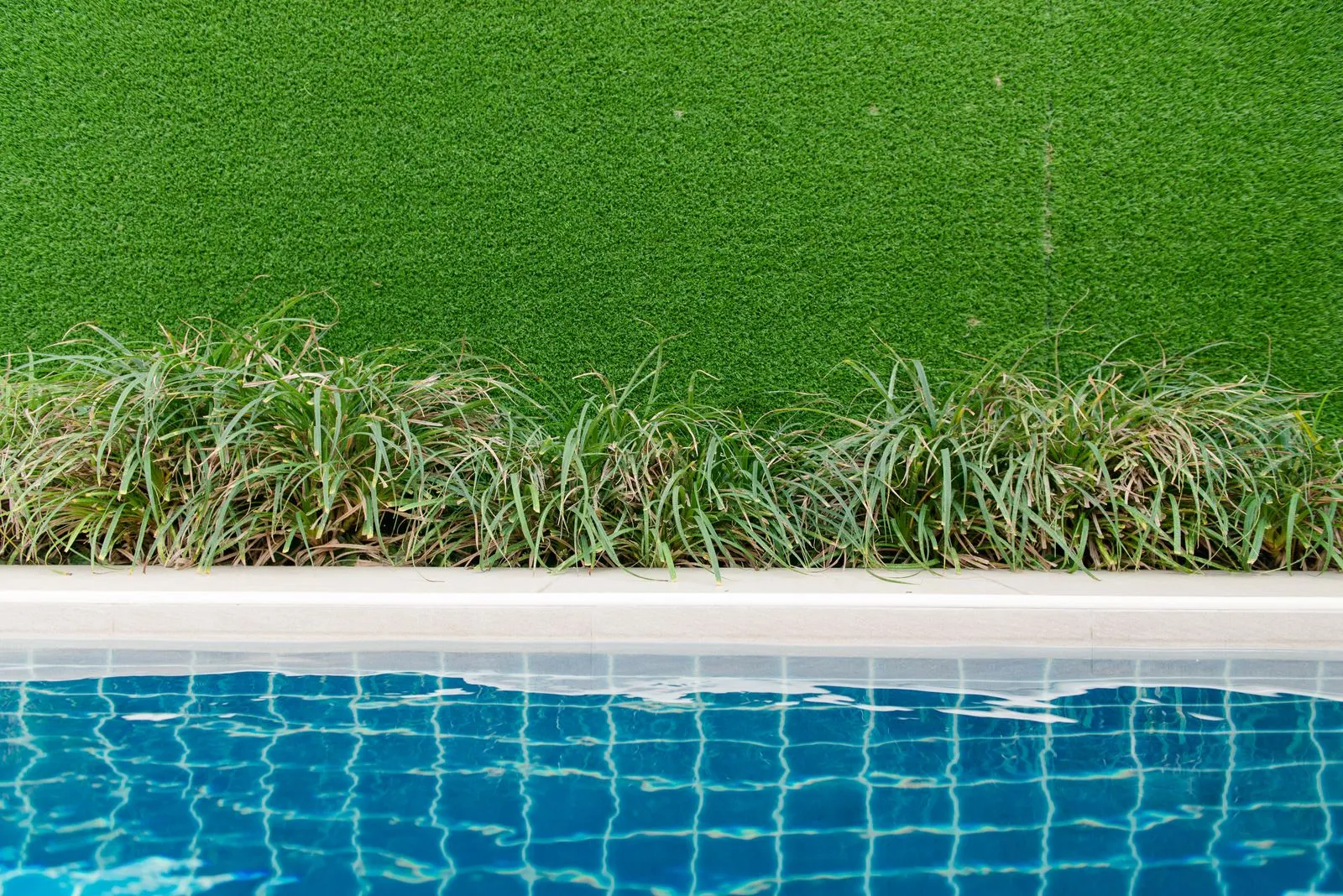A tidy backyard lawn after a maintenance visit